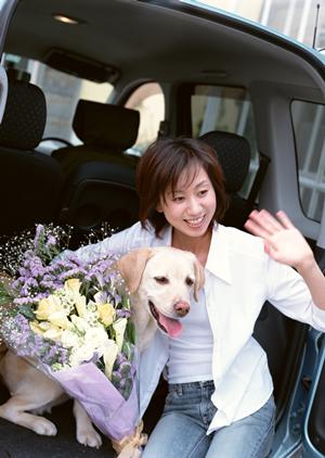 車検費用を大幅に削減するための完全ガイド：信頼できる業者選びと簡単手続きの秘訣