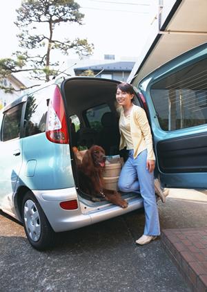 車検費用を徹底比較！安く抑えるためのポイントとおすすめサービスガイド